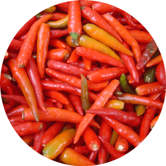 Pimenta Malagueta Vermelha Em Conserva - 100g